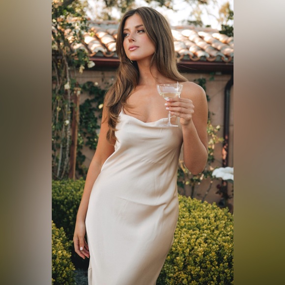 🥂 Show Me Your Mumu Tuscany Maxi Slip Dress - Picture 2 of 11